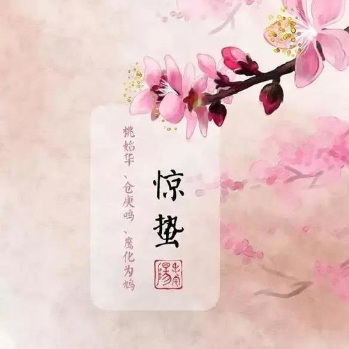 惊蛰丨早春精力粥,解春困