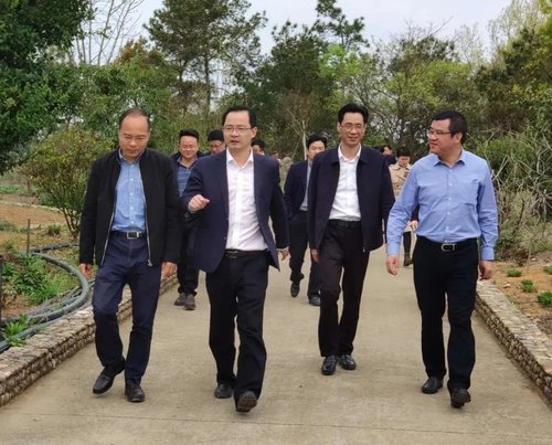 新昌县李宁考察世豪中医药养生旅游基地