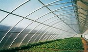 你的溫室大棚裏有遮陽系統嗎？
