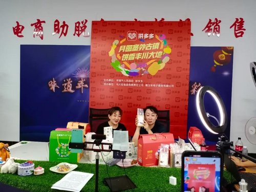 市委领导、tz部部长邓小丽走进直播间,为丰镇代言!