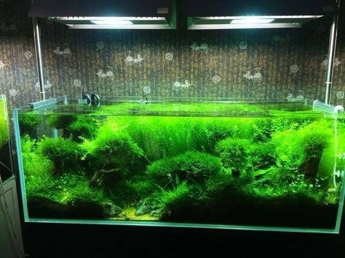 选好放置水族箱的位置