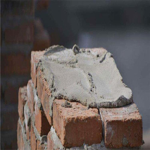 timg+%283%29.jpg