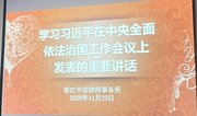 学习全面依法治国工作会议上的重要讲话（2020年11月23日）