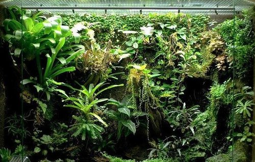 水草缸需要生化过滤系统吗？