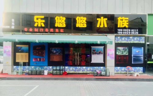 西安鱼缸厂家介绍家庭选用成品鱼缸好还是定制鱼缸好？