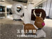 廣西雕塑公司——商場美陳雕塑