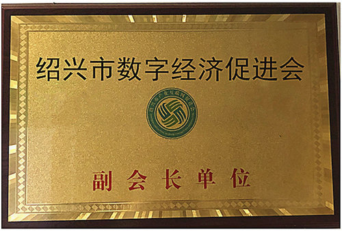 紹興市數字經濟促進會副會長單位