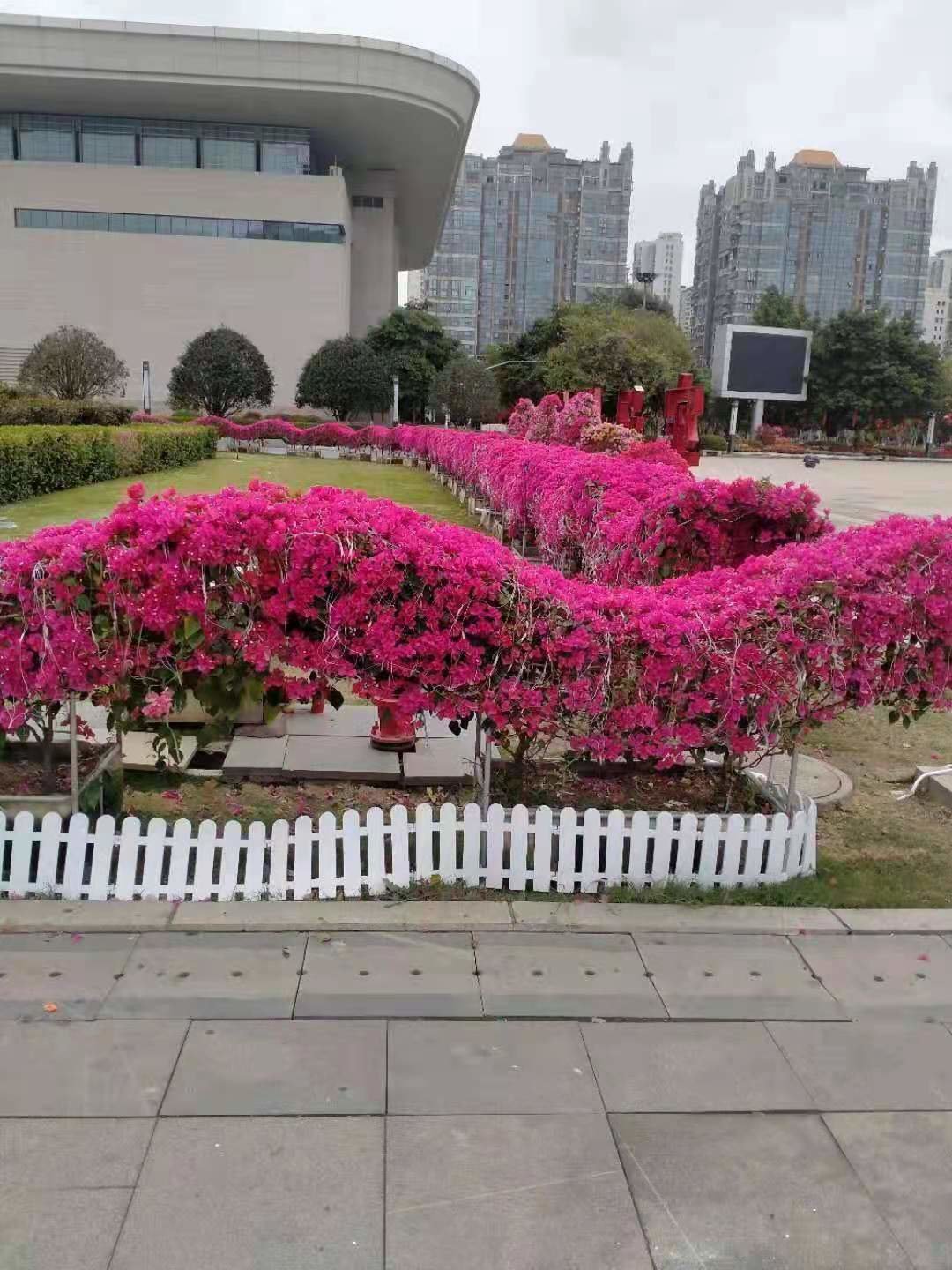 9b54d9b891c1c008cb286968b90ea9a.jpg