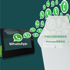 宁波whatapp营销