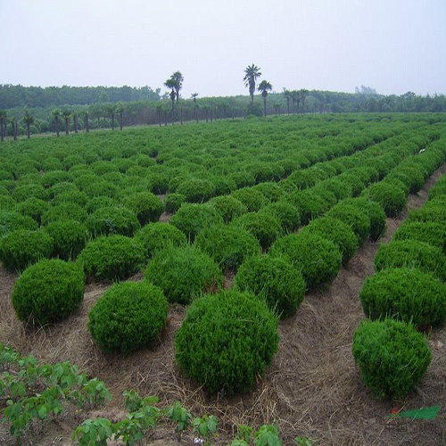 src%3Dhttp___b2b.image.yuanlin.com_biz_2012-3_20123222039126599.jpg%26refer%3Dhttp___b2b.image.yuanlin.jpg