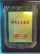 中力荣获杭州市行业龙头企业荣誉