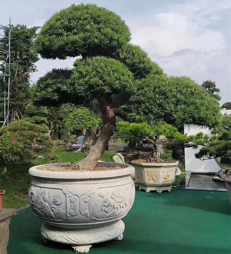 四川園林花盆雕刻