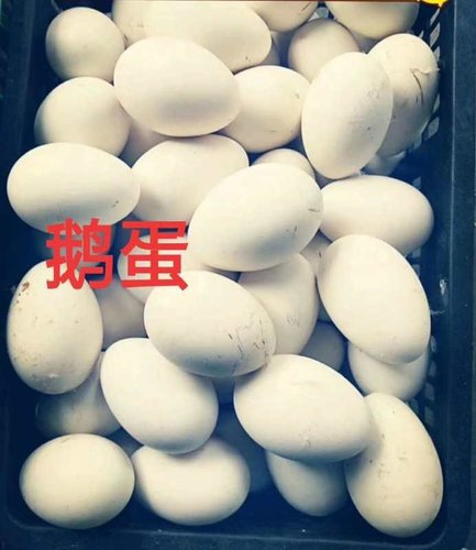 鹹鴨蛋的正確腌法是什麽？