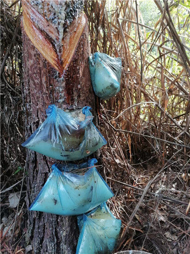 防蟲松油袋批發廠家