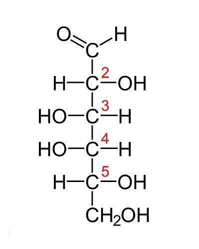 D-Galactose CAS:59-23-4 (plant)