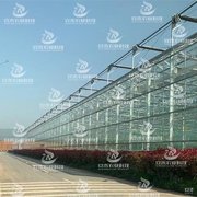 广西温室大棚：现代农业的绿色摇篮