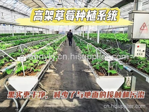 广西温室蔬菜大棚建设