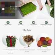 ✍Shenyang Arts Moss Technology Co., Ltd. （装饰类♥外贸独立站）