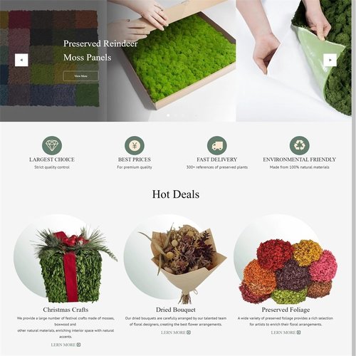 ✍Shenyang Arts Moss Technology Co., Ltd. （装饰类♥外贸独立站）