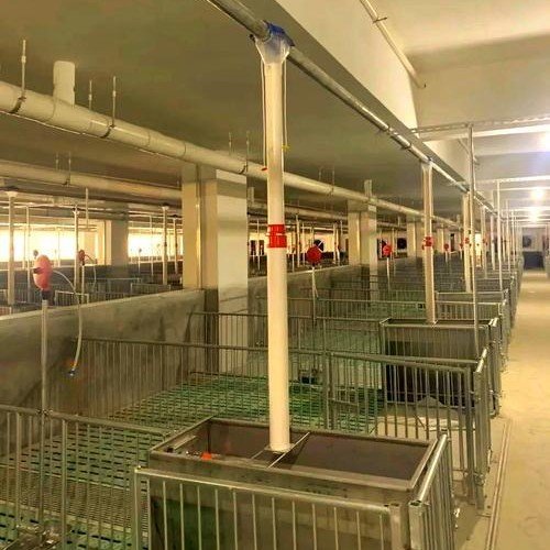 养猪场设备 现代化标准化猪场全套配套设施介绍