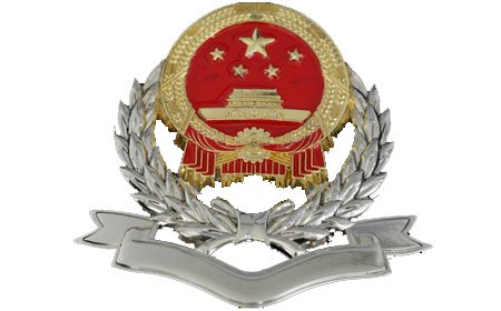 新税徽,标志,动态图_大山谷图库
