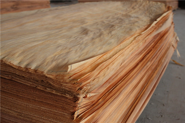 樟子松木皮厂家