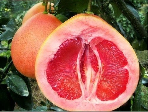 吃红心柚有什么好处呢?