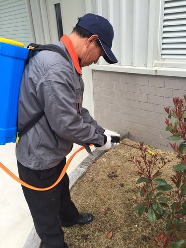 盐城哪家灭虫杀毒更专业信息|无锡盛大华源杀虫消毒服务有限公司盐城