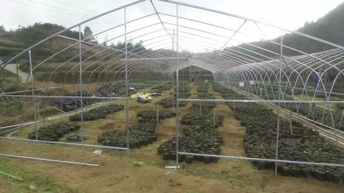 六盘水大棚建设