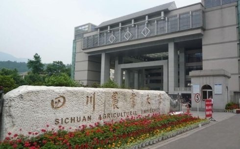 雅安大学(雅安大学排名)