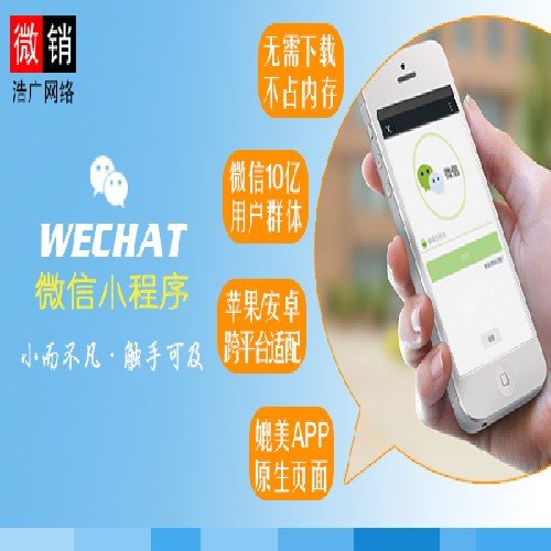 小程序,開發,源代碼,微信