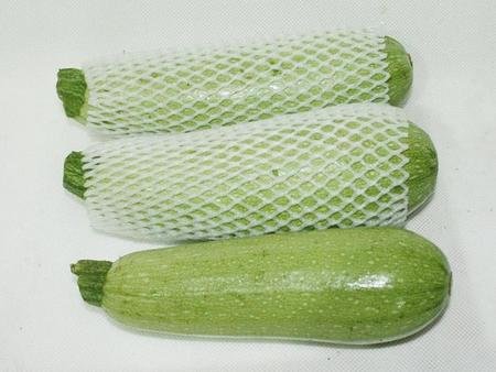 蔬菜水果网套市场新行情资讯_【你是不是要找】网套