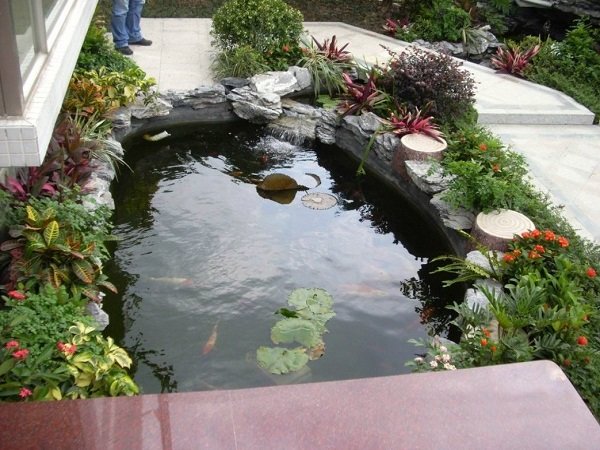 遵义鱼池设计制作